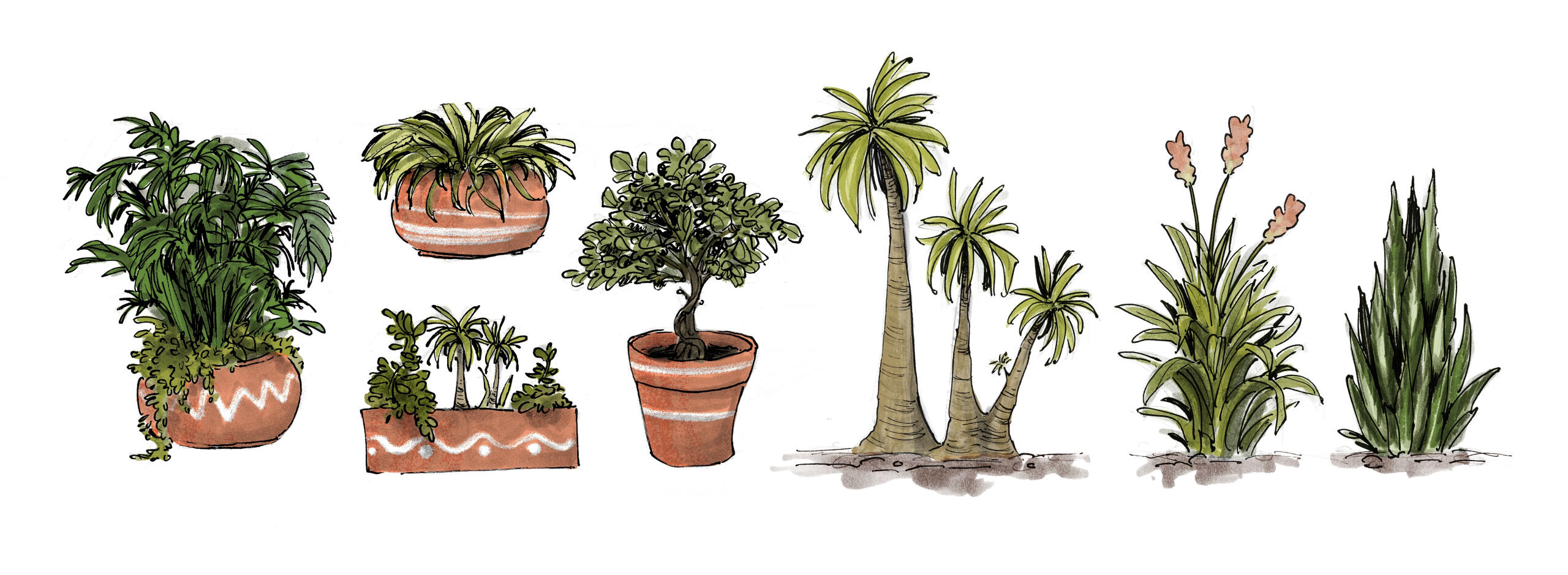 Puerto Nueva Foliage concepts, 2024, ink, marker, digital colour